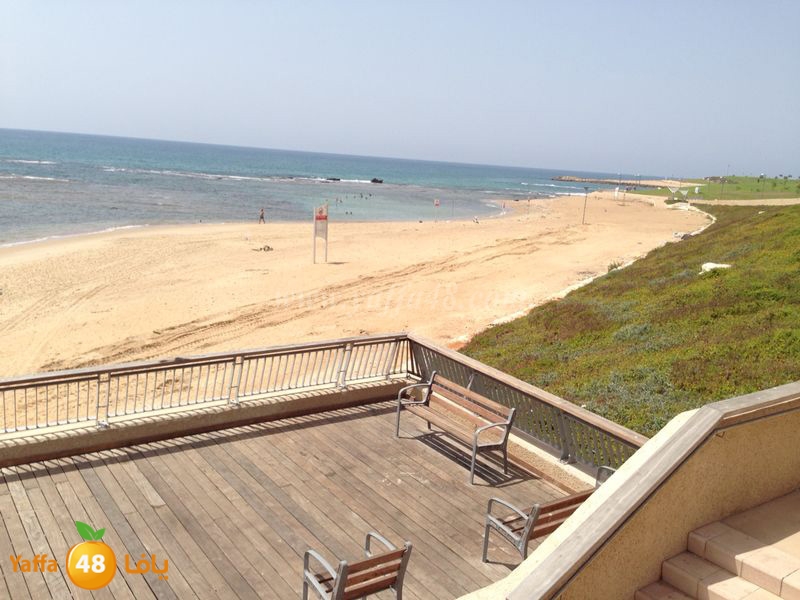 shate32 yaffasj (16).JPG